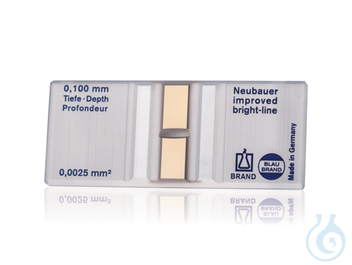 Zählkammer BLAUBRAND Neubauer improv., o. Fkl. dopp.Netzt. hell-linig