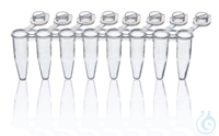 PCR-Gefäß, m. 3 Stegen, 8er, transparent, 0,2 ml, Standard f. qPCR Gef., VE =...