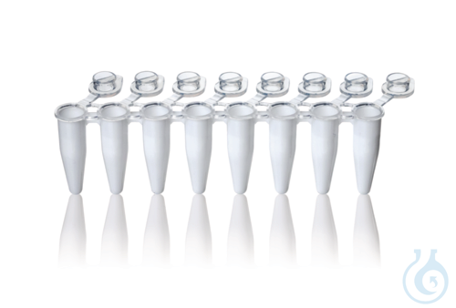 PCR-Gefaess, m. 3 Stegen, 8er, weiss, 0,2 ml an...