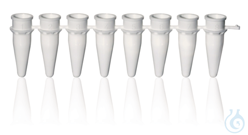 PCR-Gefaesse, 8er, PP, ohne Deckel, 0,2 ml, wei...