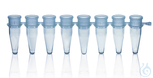 PCR-Gefaesse, 8er, PP, ohne Deckel, 0,2 ml, bla...