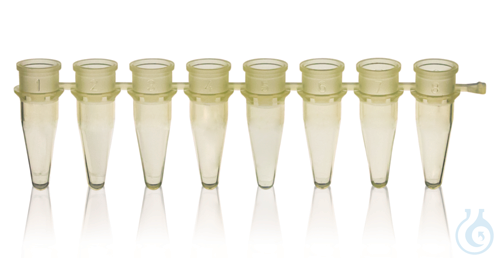 PCR-Gefaesse, 8er, PP, ohne Deckel, 0,2 ml, gel...