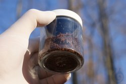 Wide-Mouth VOA Glass Jars with Closure