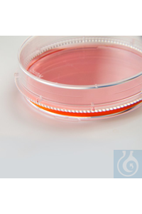 Nunc™ EasYDish™ Dishes Case of 240 100mm 56.7 cm2 21mm Nunc™ EasYDish™...