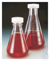 Nalgene™ Polycarbonate Erlenmeyer Flasks with Closure Prepare and store culture media using...