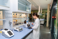 T 500, TITRONIC® 500 Grundgerät ohne Magnetrührer, mit Stativstange und Elektrodenhalter Z 305,...