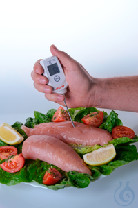 TTX 110, Handmessger&auml;t f&uuml;r Temperatur, 1 Ger&auml;t 1 x Knopfzelle CR 2032 TTX...