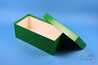 ALPHA Box 100 long2 / 1x1 without divider, green, height 100 mm, fiberboard...