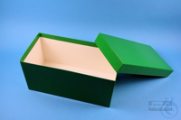 ALPHA Box 130 long2 / 1x1 without divider, green, height 130 mm, cardboard...