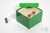 CellBox Maxi / 6x6 Fächer, grün, Höhe 128 mm, Karton spezial. CellBox Maxi /...