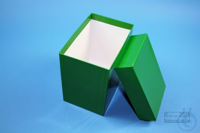 CellBox Maxi long / 1x1 without divider, green, height 128 mm, fiberboard...