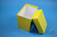 CellBox Maxi long / 1x1 without divider, yellow, height 128 mm, fiberboard...