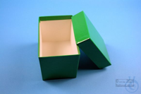 CellBox Mini long / 1x1 without divider, green, height 128 mm, cardboard...