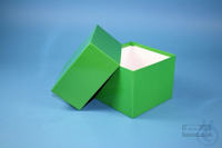DELTA Box 100 / 1x1 without divider, green, height 100 mm, fiberboard...