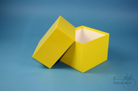 DELTA Box 100 / 1x1 ohne Facheinteilung, gelb, Höhe 100 mm, Karton standard....