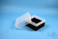 EPPi® Box 102 / 9x9 Fächer, schwarz, Höhe 102 mm fix, ohne Codierung, PP....
