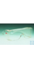 Schutzbrille Armamax AX1H klar, HC  Überbrille Armamax AX1H Aus hartbeschichtetem PC. -mit...