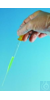 LLG-Pasteurpipetten AR-Glas 230 mm lang, VE=4x250  LLG-Pasteurpipetten, Kalk-Soda-Glas ISO 7712....
