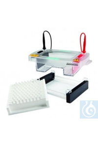 Horizontal Gel Box Enduro 96 with comb block 12x8 saples, 1mm... | Wenk ...