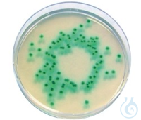 Enterobacter Sakazakii Agar f&uuml;r die Mikrobiologie Chromocult&reg; Inhalt pro...