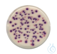 VRB-Agar für die Mikrobiologie Fluorocult® Inhalt pro Packung: 500,000 GRM...