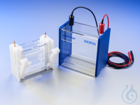BlueVertical(TM) PRiME(TM), Mini Slab Gel Electrophoresis Unit (10 x 10 cm)