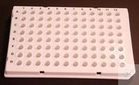 96 Well Semi-Skirted LP PCR Platte, weiß Low Profile PCR Platte mit scharfer Kon