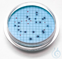 m-ColiBlue24&reg; Prepared Agar Plates, pk/15&nbsp;&nbsp; m-ColiBlue24&reg; Prepared...
