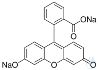 Fluorescein Natriumsalz, Indikator, ?98.5%, Glasflasche, 100 g Das...