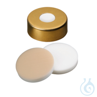 20mm Combination Seal: Magnetic Cap, gold lacquered, 8mm centre hole, 10 x...