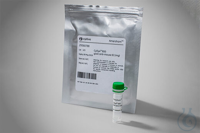 Amersham CyDye 800 goat-anti-mouse (0.1mg)