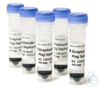 Streptavidin Mag Sepharose 2 x 1 ml “magnetic beads”