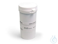ATP 100 MM SOL, WI/DI 25 UM