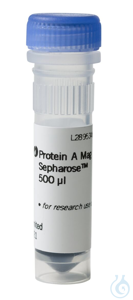 Protein A Mag Sepharose 1x500ul “magnetic beads” Protein A Mag Sepharose...