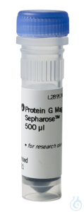 Protein G Mag Sepharose 1 x 500ul “magnetic beads” Protein G Mag Sepharose 1...
