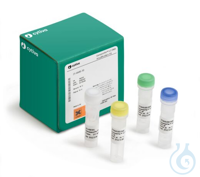 GENOMIPHI V2 DNA AMP KIT 100RX
