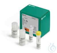 GENOMIPHI HY KIT 25 RXN