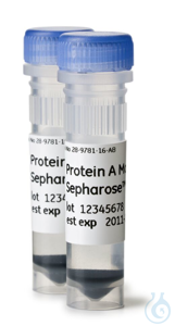 Protein A Mag Sepharose Xtra 2x1ml “magnetic beads” Protein A Mag Sepharose...
