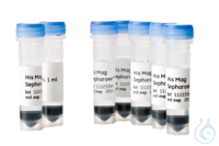 His Mag Sepharose 100 ML (5%)