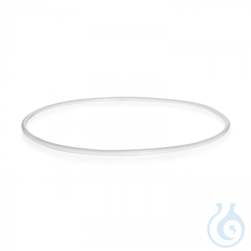 O-Ring, aus Silikon (VMQ), passend für Exsikkatoren, DN 250 (290 x 5,3 mm)