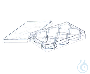 CELL CULTURE MULTIWELL PLATE, 6 WELL, PS, CLEAR...