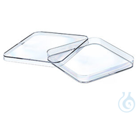 PETRISCHALE, QUADRATISCH, PS, TRANSP., 120/120/17 MM PETRISCHALE,...
