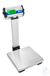 CPWplus 6P Plattformwaage 6kg/0,002kg, Hochanzeige Wägeplatte 300x300mm...