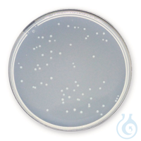 Plate-Count-Agar APHA, VE = 500 g  Plate-Count-Agar APHA, ISO 4833:2003 für die Mikrobiologie...