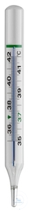 Klinische thermometer, ovaal, met witte Chromalux schaalverdeling, +36 tot 42°c, in de fabriek...