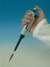 Witopet 5µl Mikroliterpipette, 
