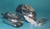Pharma-Scoop 1000 ml Pharma-Scoop, 1000 ml, Ø: 110 mm, length: 235 mm, V4A-steel