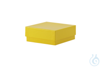 2Artikelen als: Cryobox; kartonnen doos, geel, afmetingen (HxDxB) 50x133x133mm Cryobox ;...