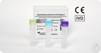 Influenza A/B SARS-CoV2 Multiplex Real Time PCR Kit