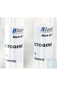 INSECTOGENE Das Transfektionsreagenz für Insektenzellen 
 
HIGHLIGHTS: 
Simpler und...